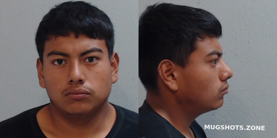 Herrera Mario Hidalgo County Mugshots Zone