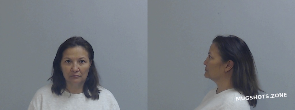 Alcantar Febe Garza Hidalgo County Mugshots Zone