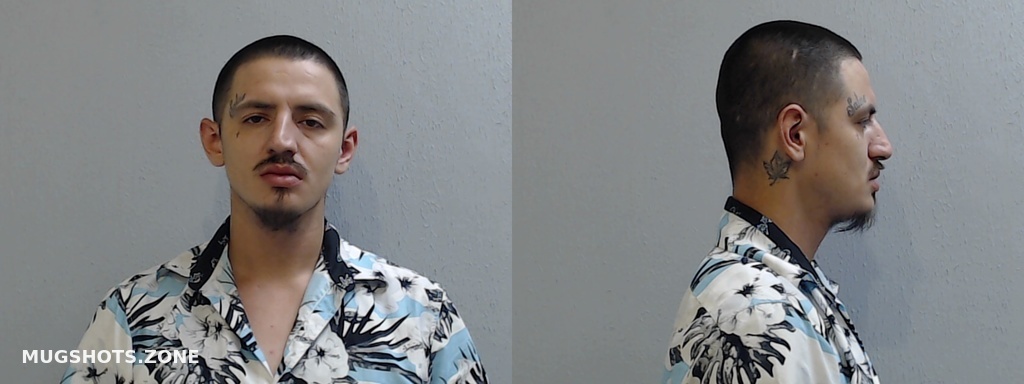 Salas Isaias Jr Hidalgo County Mugshots Zone