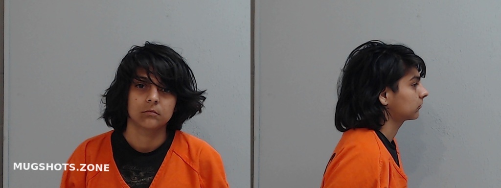 Garces Michelle Alexis Hidalgo County Mugshots Zone