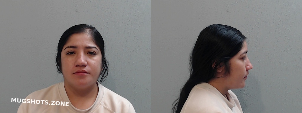 VILLALOBOS ADRIANA 10 01 2022 Hidalgo County Mugshots Zone