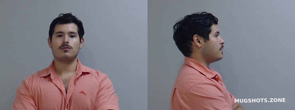 Cepeda Hugo Alberto Hidalgo County Mugshots Zone