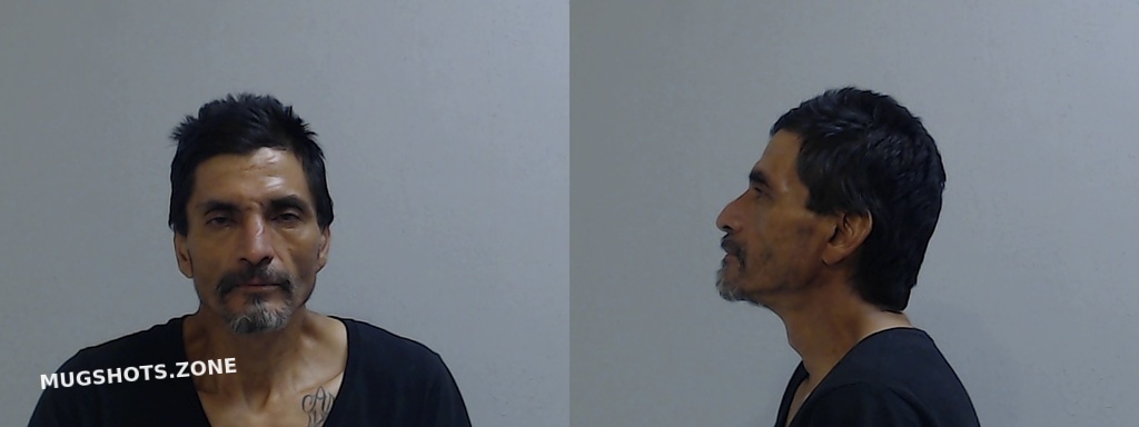 Lozano Rene Alcantar Hidalgo County Mugshots Zone