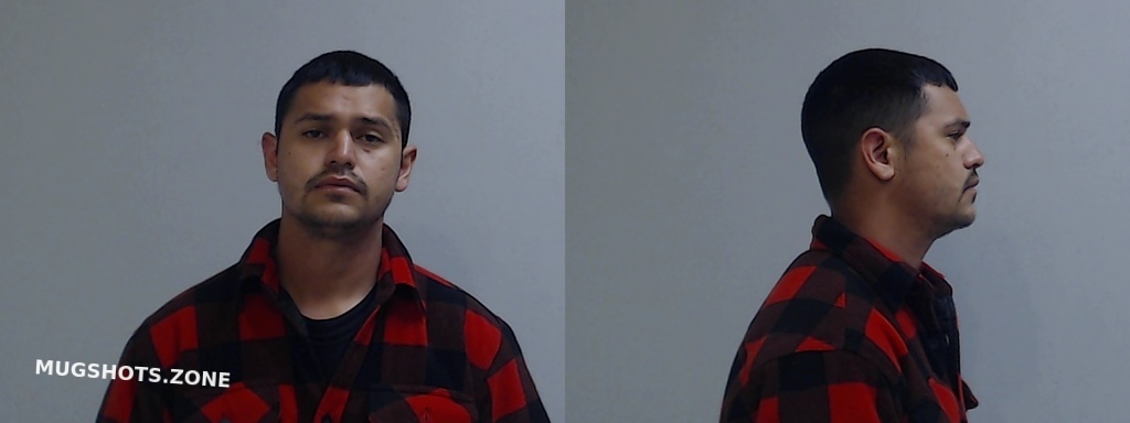 Gonzalez Pedro Jr Hidalgo County Mugshots Zone