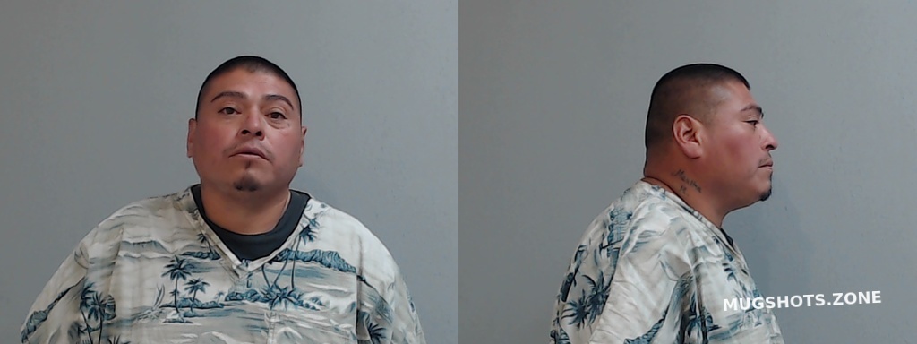 Gallegos Ernesto Jr Hidalgo County Mugshots Zone