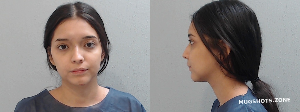 Perez Diana Giselle Hidalgo County Mugshots Zone