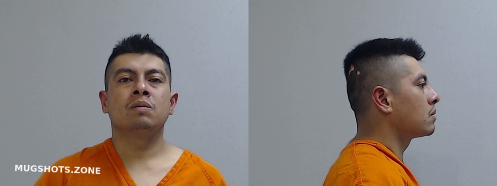 Segura Armando Mendez Hidalgo County Mugshots Zone