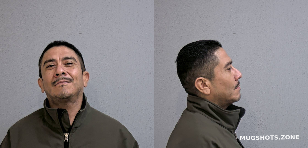 Trevino Jorge Luis Hidalgo County Mugshots Zone