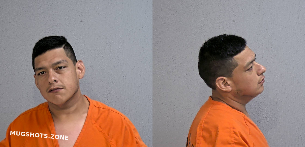 Martinez Ismael Hidalgo County Mugshots Zone