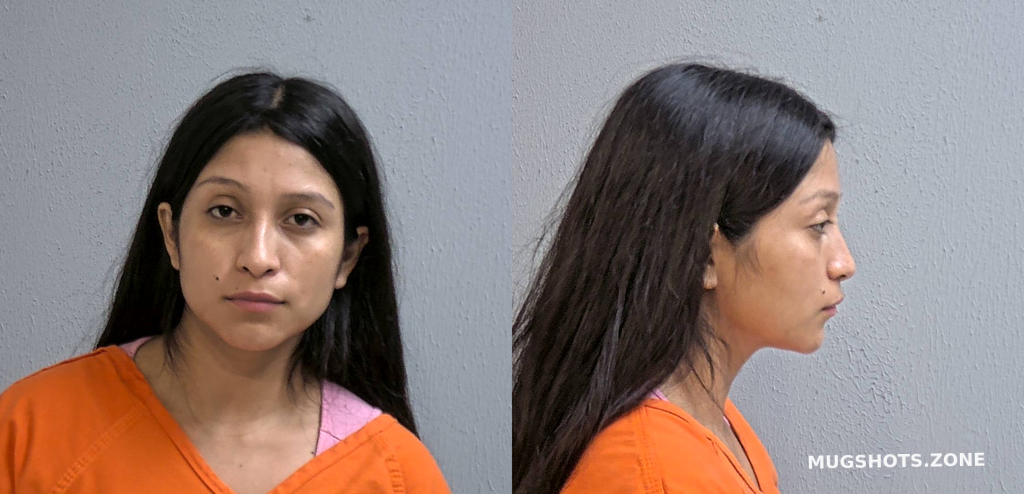 HERNANDEZ LESLIE ADRIANA 06 20 2023 Hidalgo County Mugshots Zone