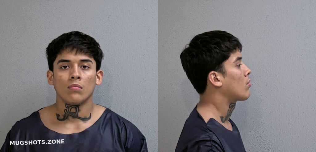 Hinojosa Robert Alexis Hidalgo County Mugshots Zone