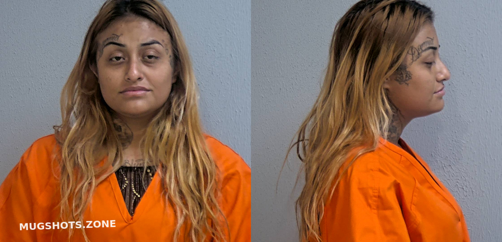 Hernandez Lizbeth Rodriguez Hidalgo County Mugshots Zone