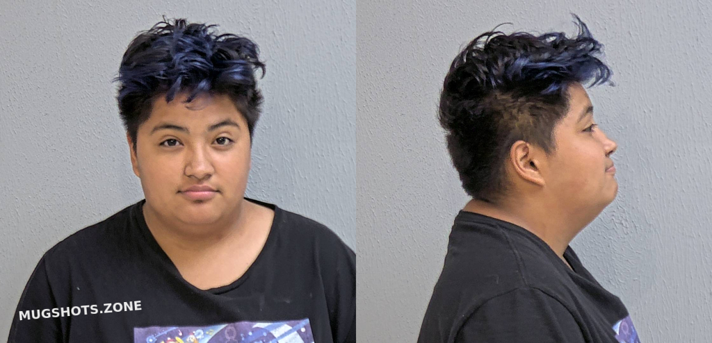 ALVARADO NAYDLINE ALEJANDRA 07 26 2023 Hidalgo County Mugshots Zone