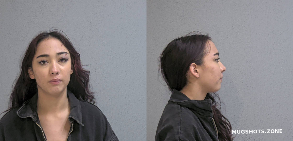 Torre Adelina Hidalgo County Mugshots Zone