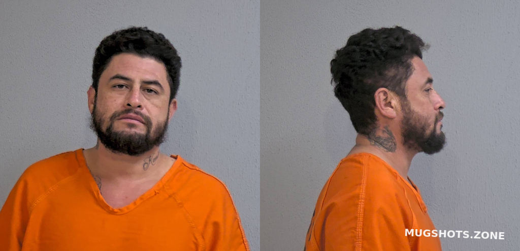 Gutierrez Reynaldo Hidalgo County Mugshots Zone