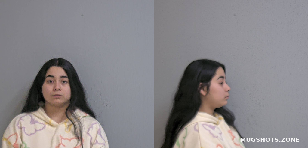 Duque Leslie Isabel Hidalgo County Mugshots Zone