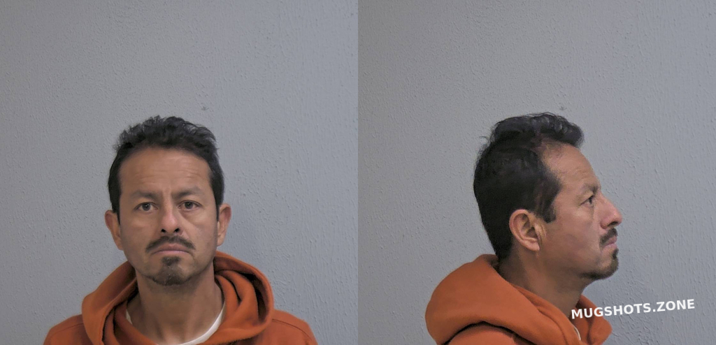 Tenorio David Trinidad Hidalgo County Mugshots Zone