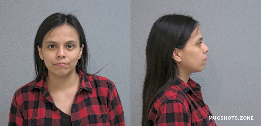 Ortega Rosalinda Hidalgo County Mugshots Zone