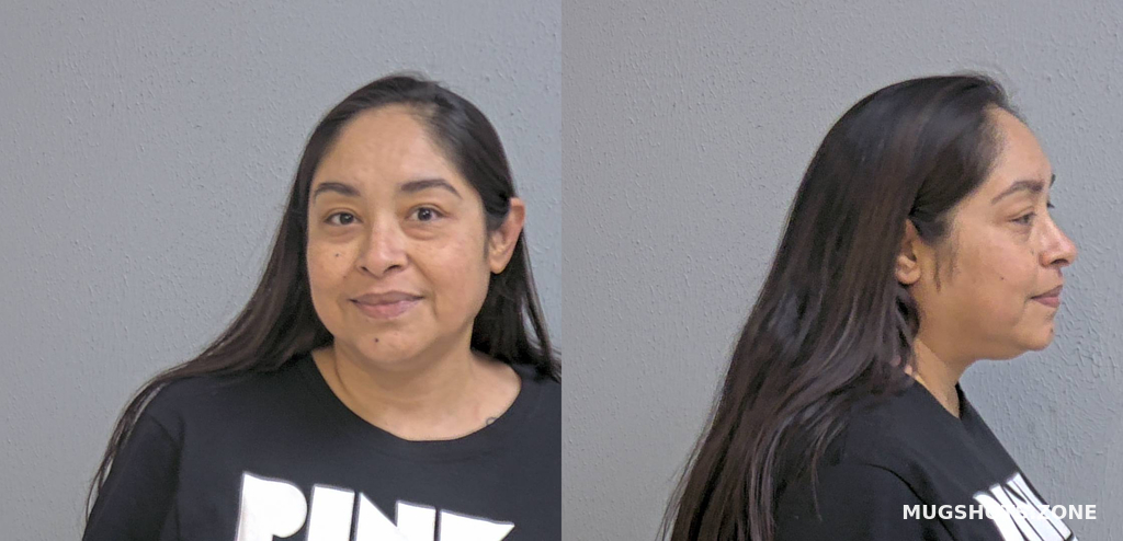 NINO LIZETTE 02 11 2024 Hidalgo County Mugshots Zone