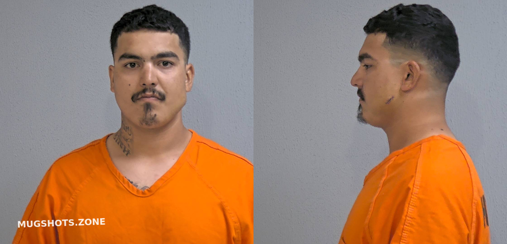 Hinojosa Rolando Jr Hidalgo County Mugshots Zone