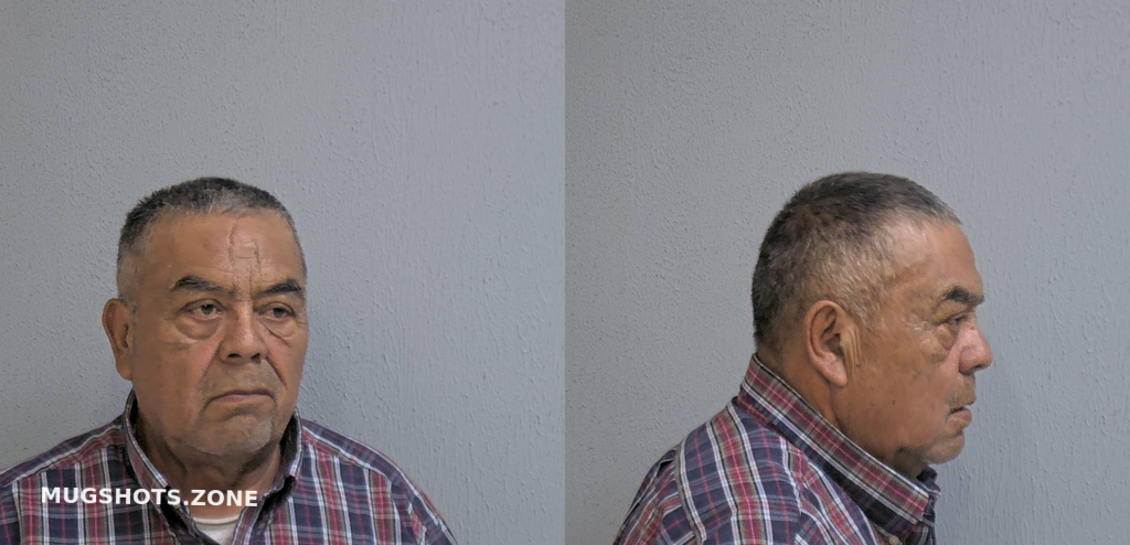 Salas Emilio Torres Hidalgo County Mugshots Zone