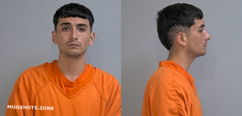 Silva Bernardo Martin Hidalgo County Mugshots Zone