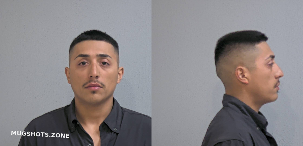 Sauceda Luis Alberto Jr Hidalgo County Mugshots Zone