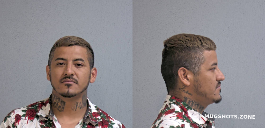 Badillo Gilberto Campos Hidalgo County Mugshots Zone