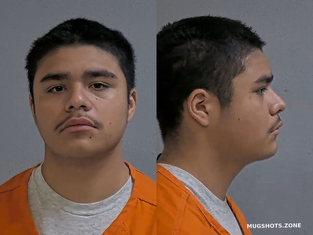 Anaya Mario Hidalgo County Mugshots Zone