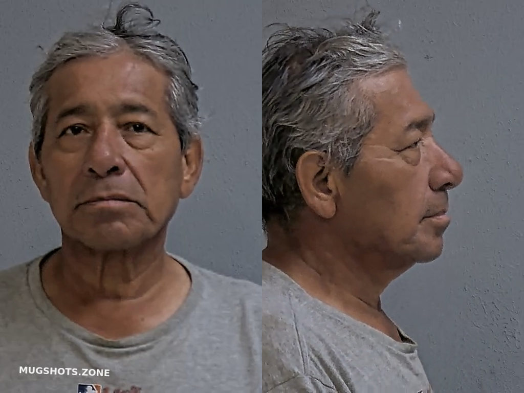 Flores Ignacio Hidalgo County Mugshots Zone