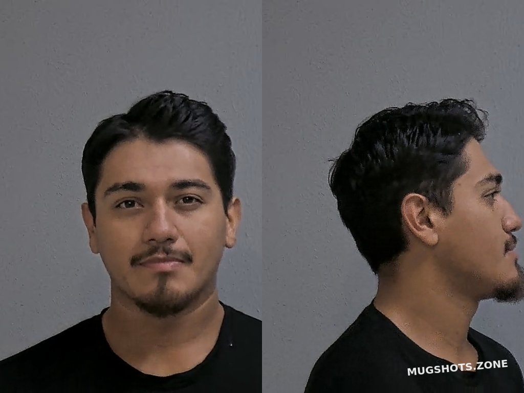 ROMO CHRISTIAN LEONARDO 06 14 2024 Hidalgo County Mugshots Zone