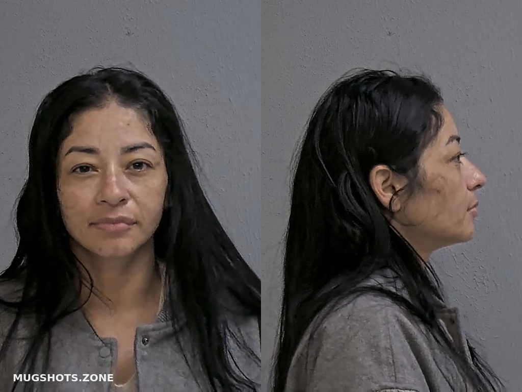 SALINAS BRENDA VANESSA 06 14 2024 Hidalgo County Mugshots Zone