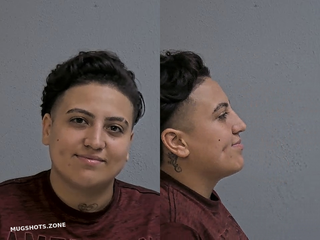 Perez Andrea Hidalgo County Mugshots Zone