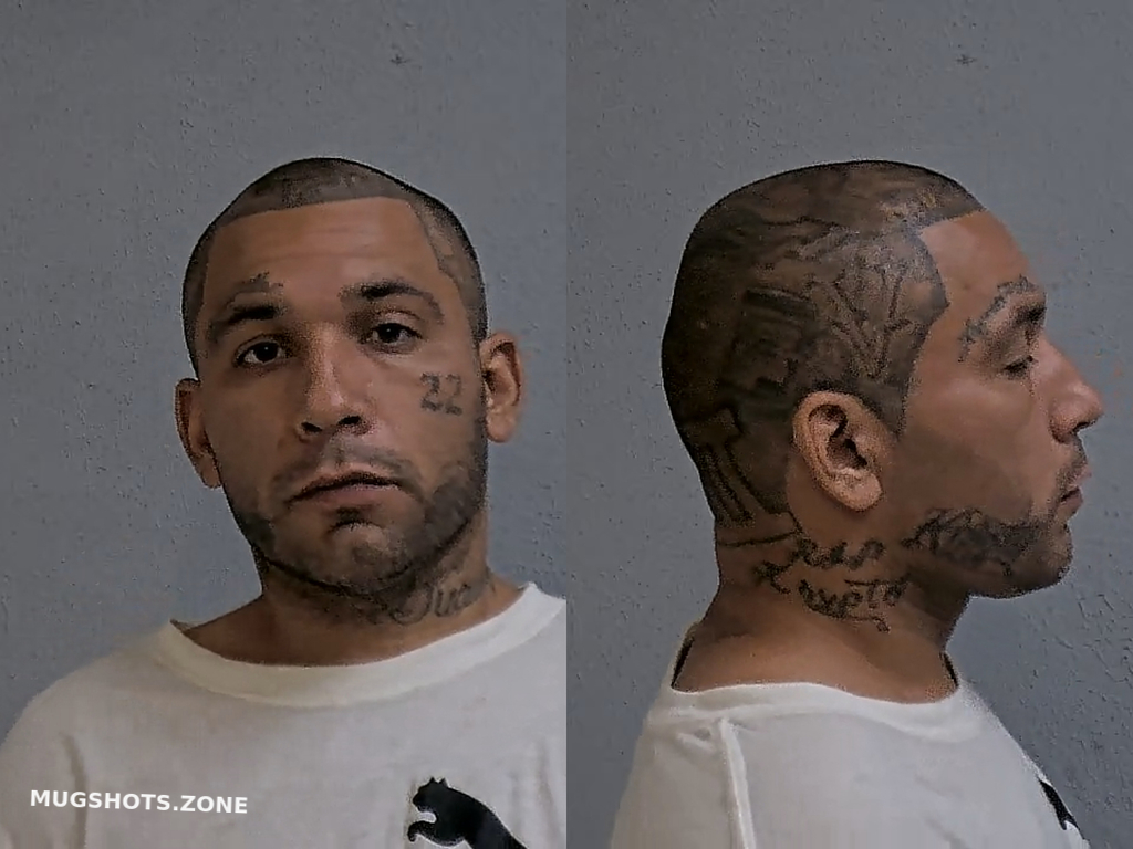 RAMIREZ RAUL GOMEZ 06 15 2024 Hidalgo County Mugshots Zone