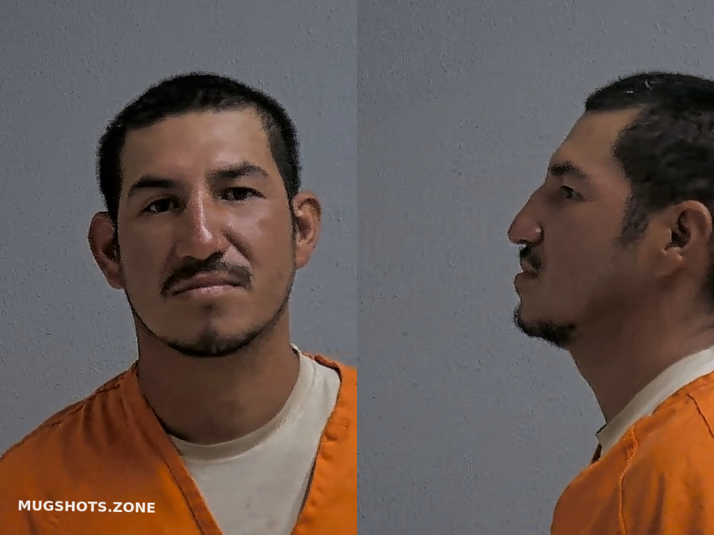 GARZA JOSE SANCHEZ 06 15 2024 Hidalgo County Mugshots Zone