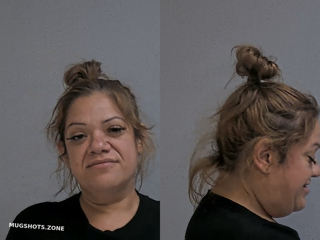 GARCIA OLIVIA ALEIDA 06 15 2024 Hidalgo County Mugshots Zone