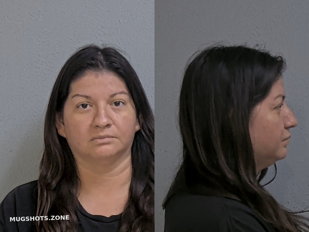 FLORES DINA ELAINE 06 16 2024 Hidalgo County Mugshots Zone