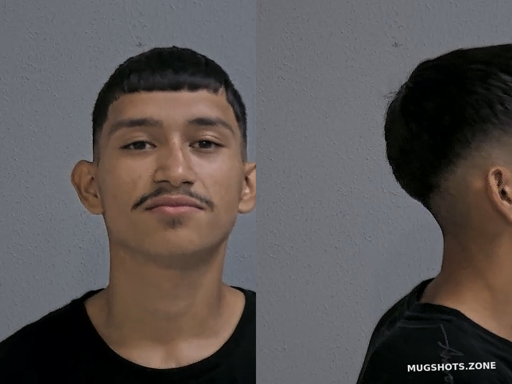 ZARATE GAEL ALEXANDER 06 17 2024 Hidalgo County Mugshots Zone