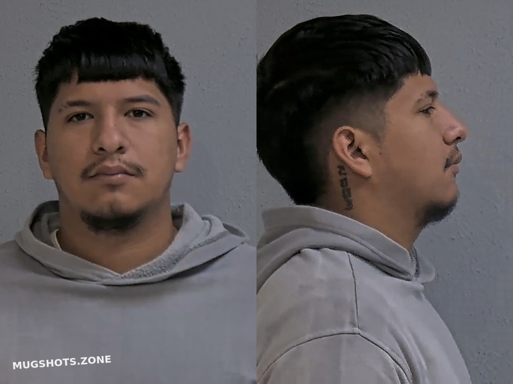 Martinez Gabriel Alexander Hidalgo County Mugshots Zone