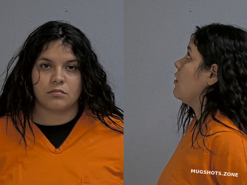 Fuentes Sky Brianna Hidalgo County Mugshots Zone