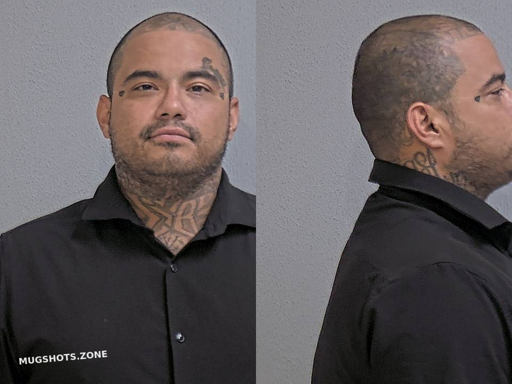 Vega Pablo Jr Hidalgo County Mugshots Zone