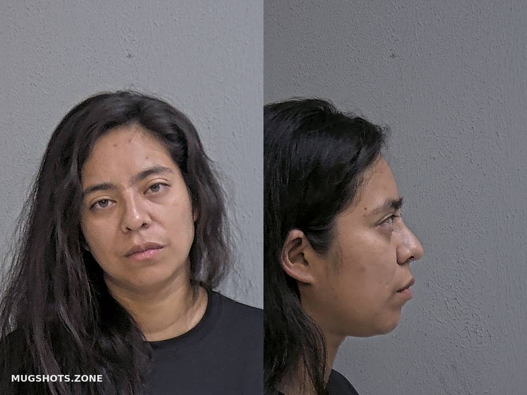 Alfaro Regina Hidalgo County Mugshots Zone