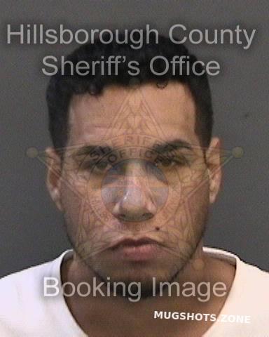 Nieves Davila Andy Hillsborough County Mugshots Zone