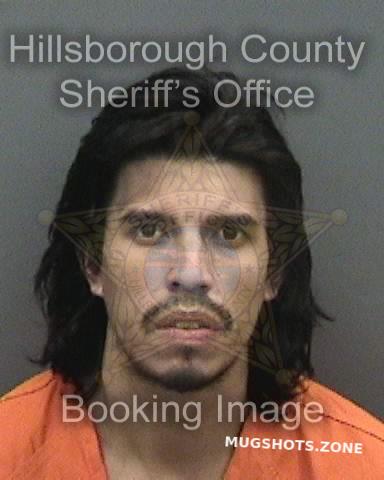 DAHLIN JUSTIN 10 01 2021 Hillsborough County Mugshots Zone