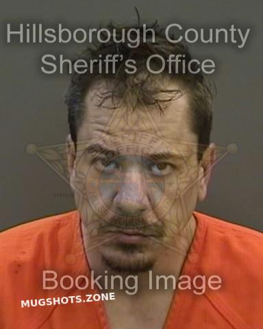 Blattner Wade Hillsborough County Mugshots Zone