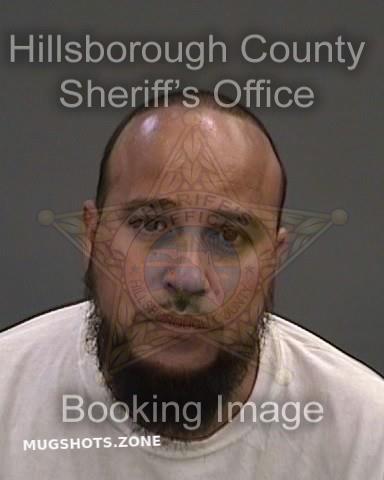 Ocasio Carlos Hillsborough County Mugshots Zone