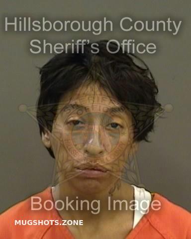 Alvarado Cheryl Hillsborough County Mugshots Zone