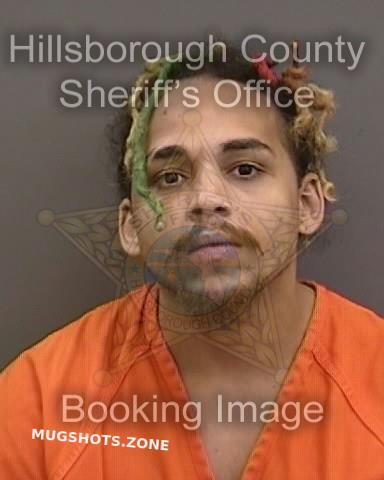 Hunter Arik Hillsborough County Mugshots Zone