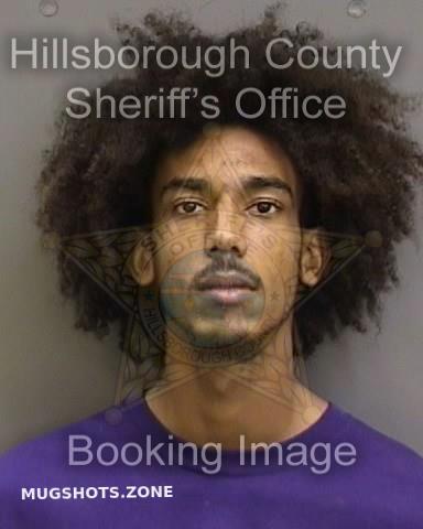 Hunter Deandre Hillsborough County Mugshots Zone