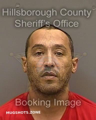 POMALES TORRES KELVIN 04 27 2022 Hillsborough County Mugshots Zone